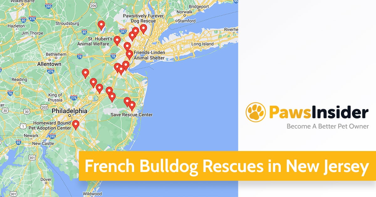 Screenshot of a map with French Bulldog Rescues in New Jersey in Google Maps