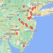 Screenshot of a map with French Bulldog Rescues in New Jersey in Google Maps