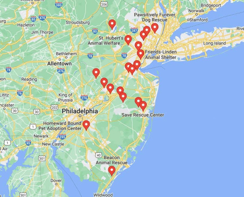 Screenshot of a map with French Bulldog Rescues in New Jersey in Google Maps