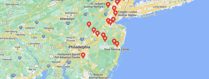 Screenshot of a map with French Bulldog Rescues in New Jersey in Google Maps