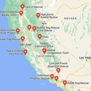 Screenshot of a map with French Bulldog Rescues in California in Google Maps