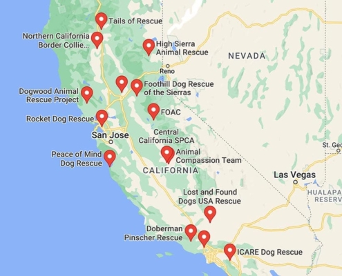 Screenshot of a map with French Bulldog Rescues in California in Google Maps