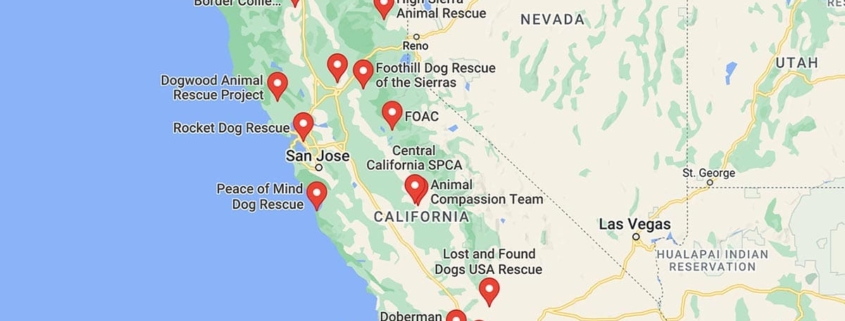 Screenshot of a map with French Bulldog Rescues in California in Google Maps