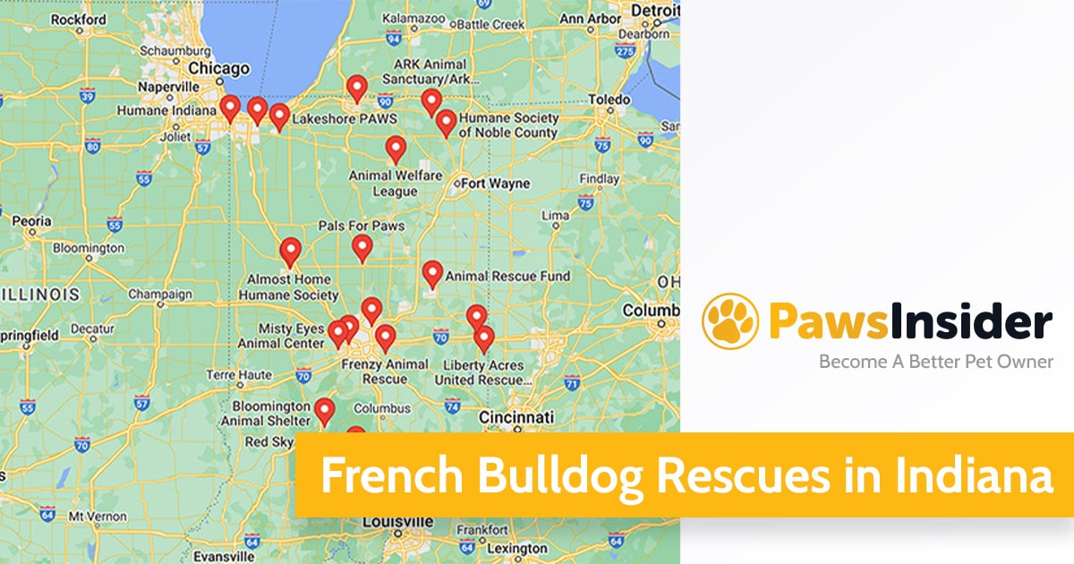 Screenshot of a map with French Bulldog Rescues in Indiana in Google Maps