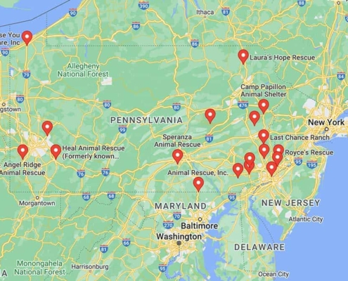 Screenshot of a map with French Bulldog Rescues in Pennsylvania in Google Maps