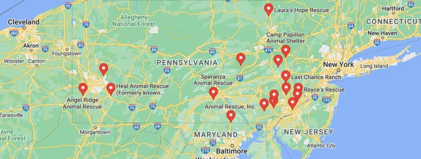 Screenshot of a map with French Bulldog Rescues in Pennsylvania in Google Maps
