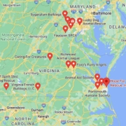 Screenshot of a map with French Bulldog Rescues in Virginia in Google Maps