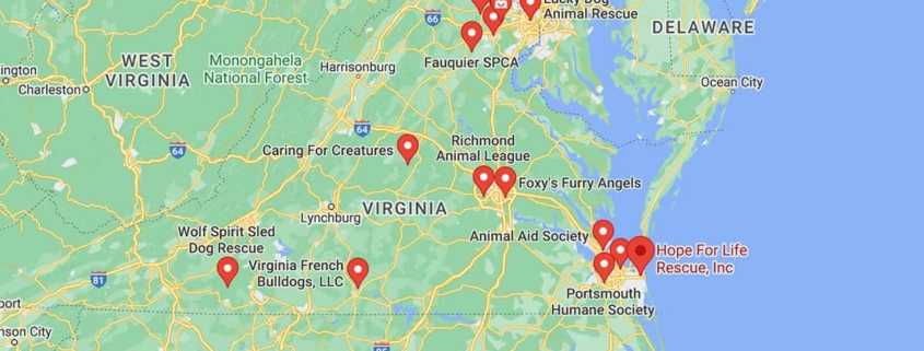 Screenshot of a map with French Bulldog Rescues in Virginia in Google Maps