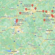 Screenshot of a map with Dachshund Rescues in North Caroline in Google Maps