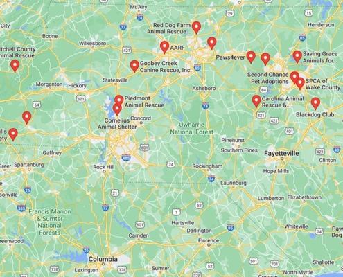 Screenshot of a map with Dachshund Rescues in North Caroline in Google Maps