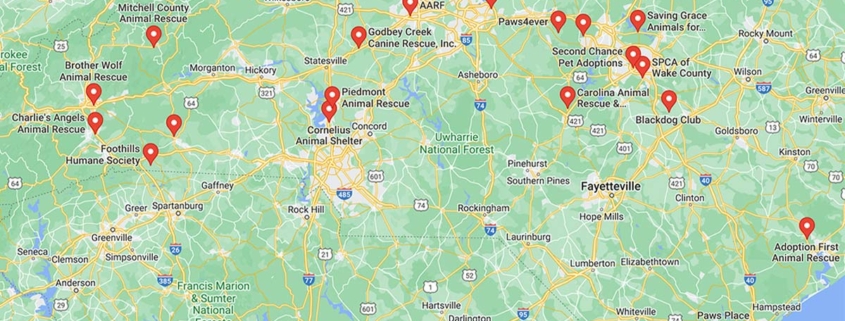 Screenshot of a map with Dachshund Rescues in North Caroline in Google Maps