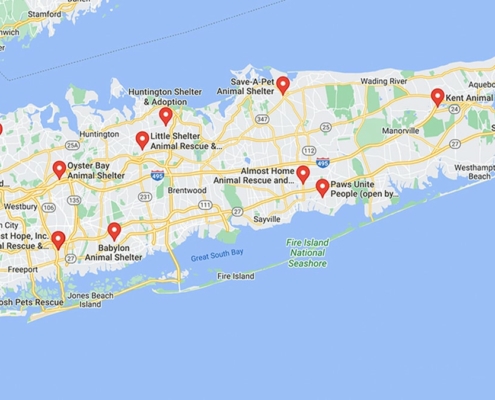 Screenshot of a map with French Bulldog Rescues in Long Island in Google Maps