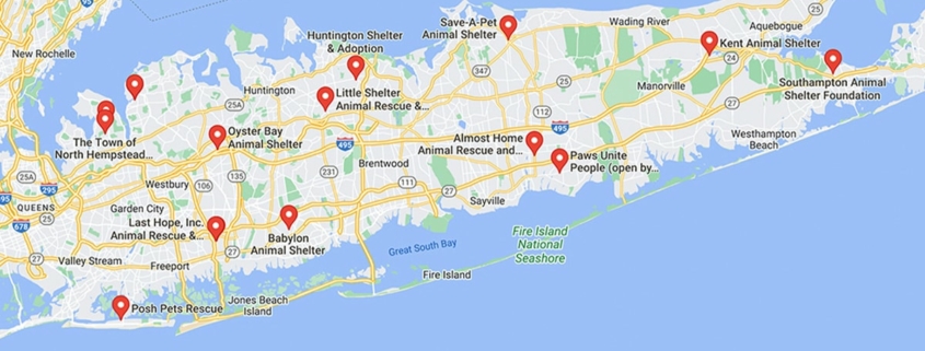 Screenshot of a map with French Bulldog Rescues in Long Island in Google Maps