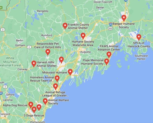 Screenshot of a map with French Bulldog Rescues in Maine in Google Maps
