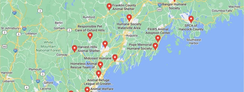 Screenshot of a map with French Bulldog Rescues in Maine in Google Maps
