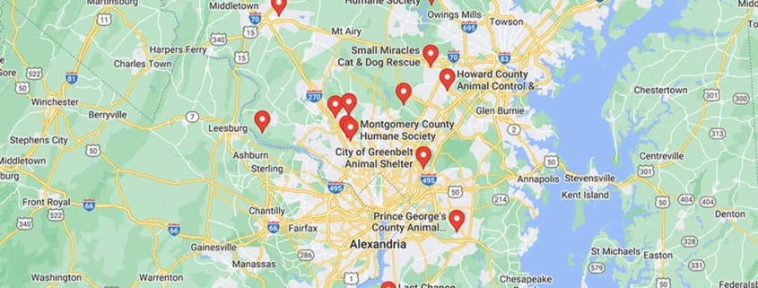Screenshot of a map with French Bulldog Rescues in Maryland in Google Maps