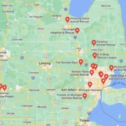 Screenshot of a map with French Bulldog Rescues in Michigan in Google Maps