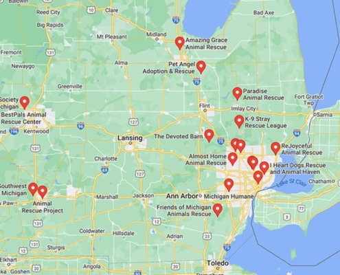 Screenshot of a map with French Bulldog Rescues in Michigan in Google Maps