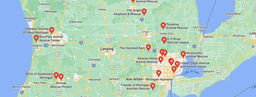 Screenshot of a map with French Bulldog Rescues in Michigan in Google Maps