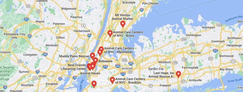 Screenshot of a map with French Bulldog Rescues in New York in Google Maps