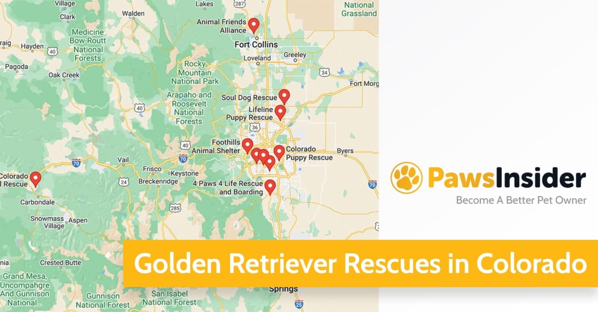 Screenshot of a map with Golden Retriever Rescues in Colorado in Google Maps