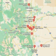 Screenshot of a map with Golden Retriever Rescues in Colorado in Google Maps