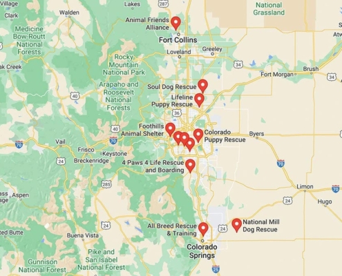 Screenshot of a map with Golden Retriever Rescues in Colorado in Google Maps