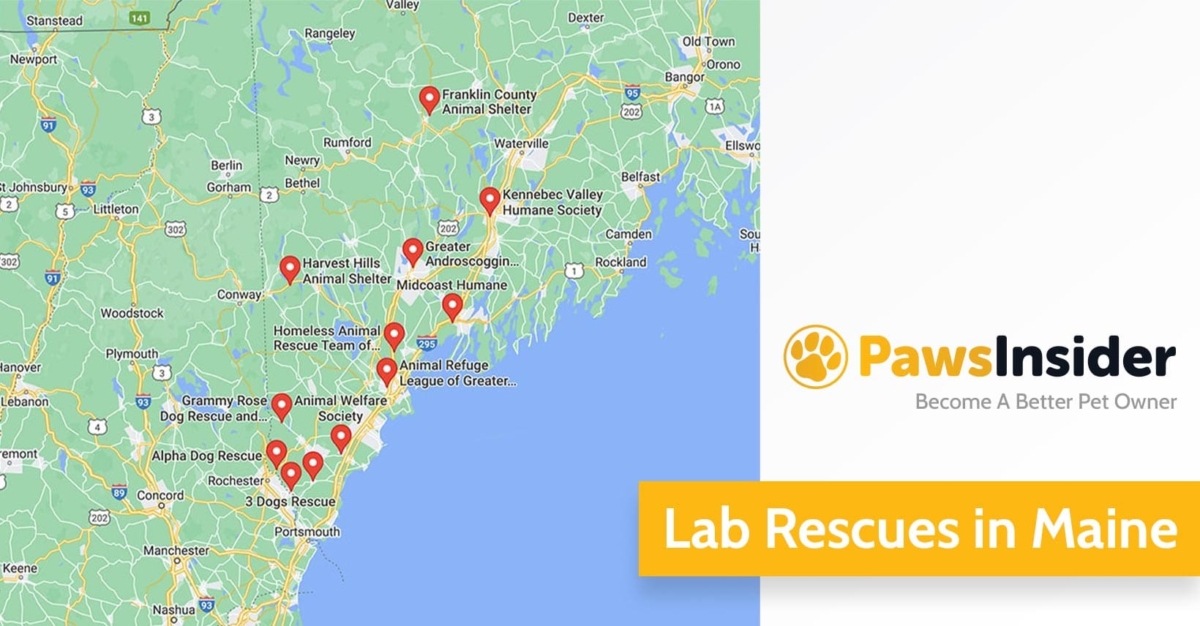 Screenshot of a map with Lab Rescues in Maine in Google Maps