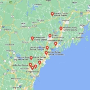Screenshot of a map with Lab Rescues in Maine in Google Maps