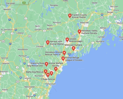 Screenshot of a map with Lab Rescues in Maine in Google Maps