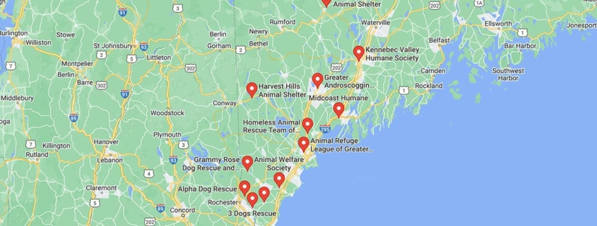 Screenshot of a map with Lab Rescues in Maine in Google Maps