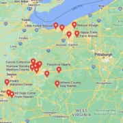 Screenshot of a map with Dachshund Rescues in Ohio in Google Maps