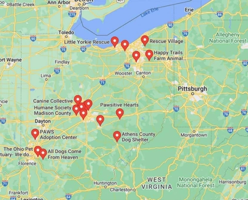 Screenshot of a map with Dachshund Rescues in Ohio in Google Maps
