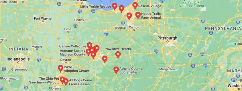 Screenshot of a map with Dachshund Rescues in Ohio in Google Maps