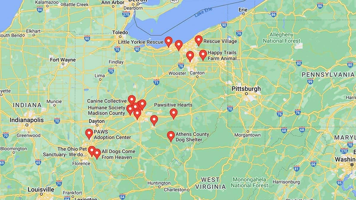 Screenshot of a map with Dachshund Rescues in Ohio in Google Maps