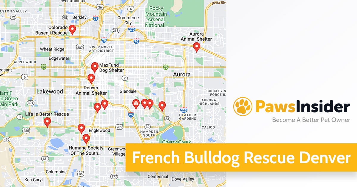 Screenshot of a map with French Bulldog Rescues in Denver in Google Maps