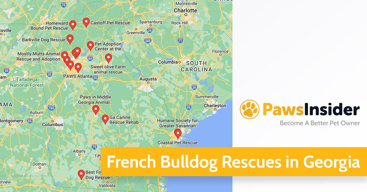 Screenshot of a map with French Bulldog Rescues in Georgia in Google Maps