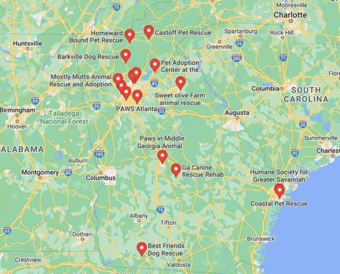 Screenshot of a map with French Bulldog Rescues in Georgia in Google Maps