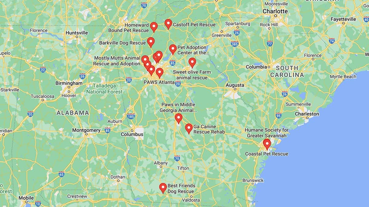 Screenshot of a map with French Bulldog Rescues in Georgia in Google Maps