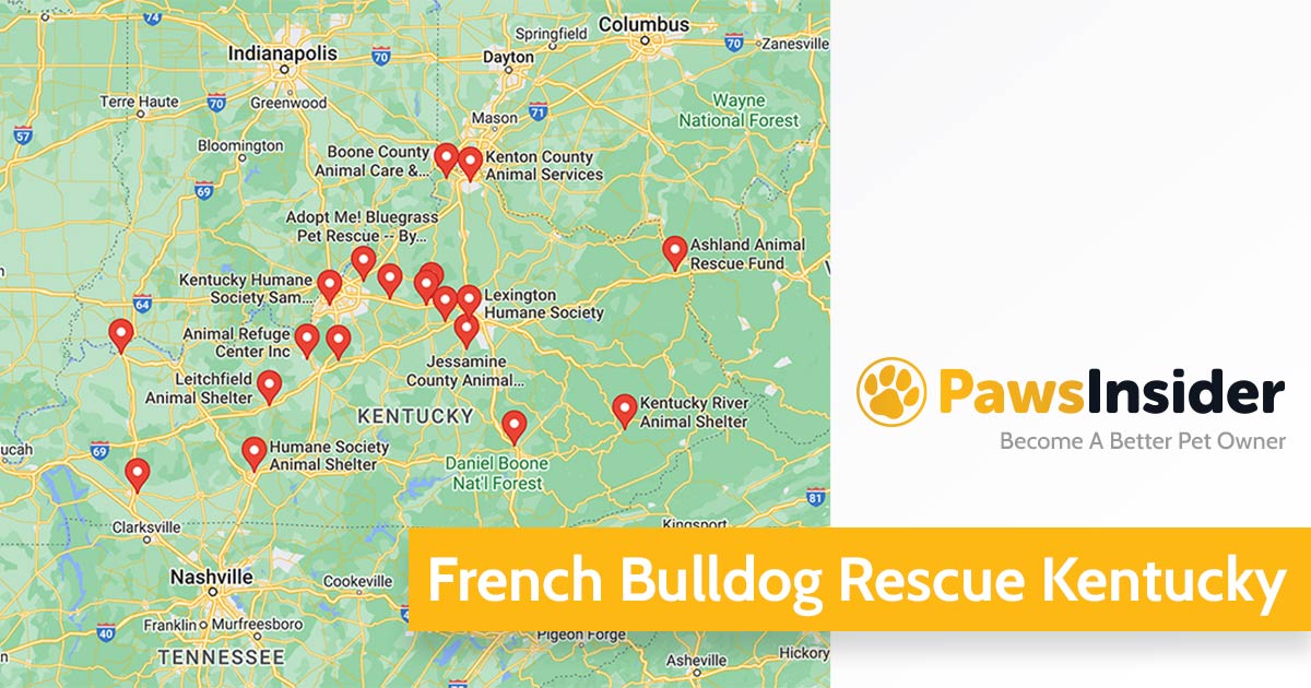 Screenshot of a map with French Bulldog Rescues in Kentucky in Google Maps