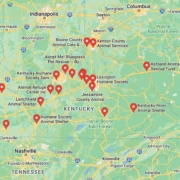 Screenshot of a map with French Bulldog Rescues in Kentucky in Google Maps