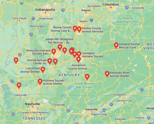 Screenshot of a map with French Bulldog Rescues in Kentucky in Google Maps