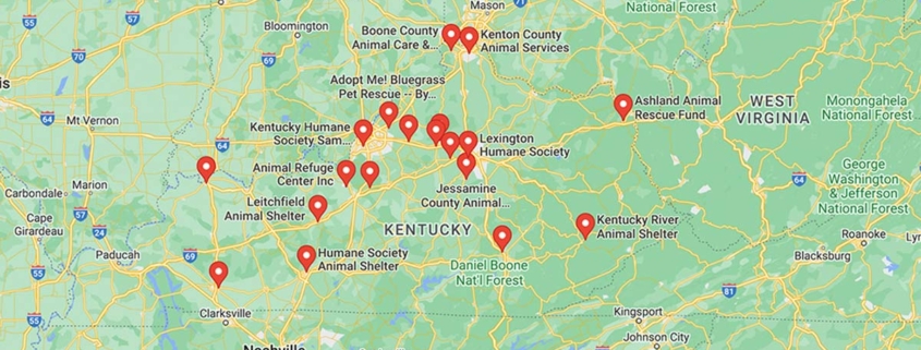 Screenshot of a map with French Bulldog Rescues in Kentucky in Google Maps