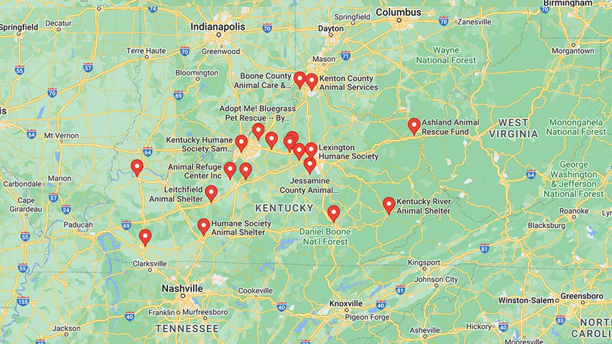 Screenshot of a map with French Bulldog Rescues in Kentucky in Google Maps