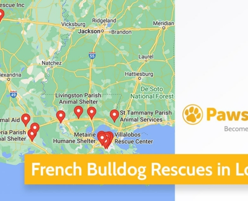 Screenshot of a map with French Bulldog Rescues in Louisiana in Google Maps