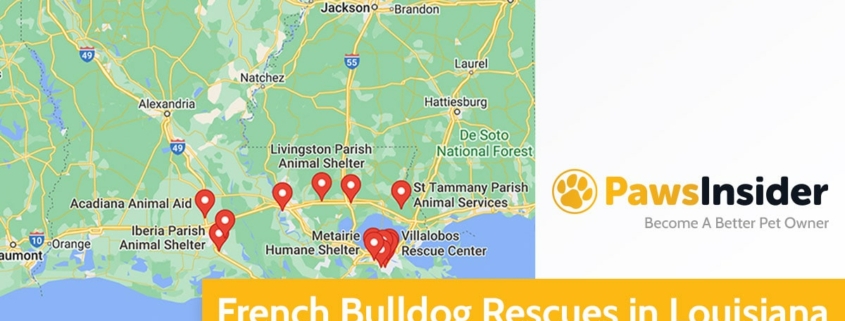 Screenshot of a map with French Bulldog Rescues in Louisiana in Google Maps