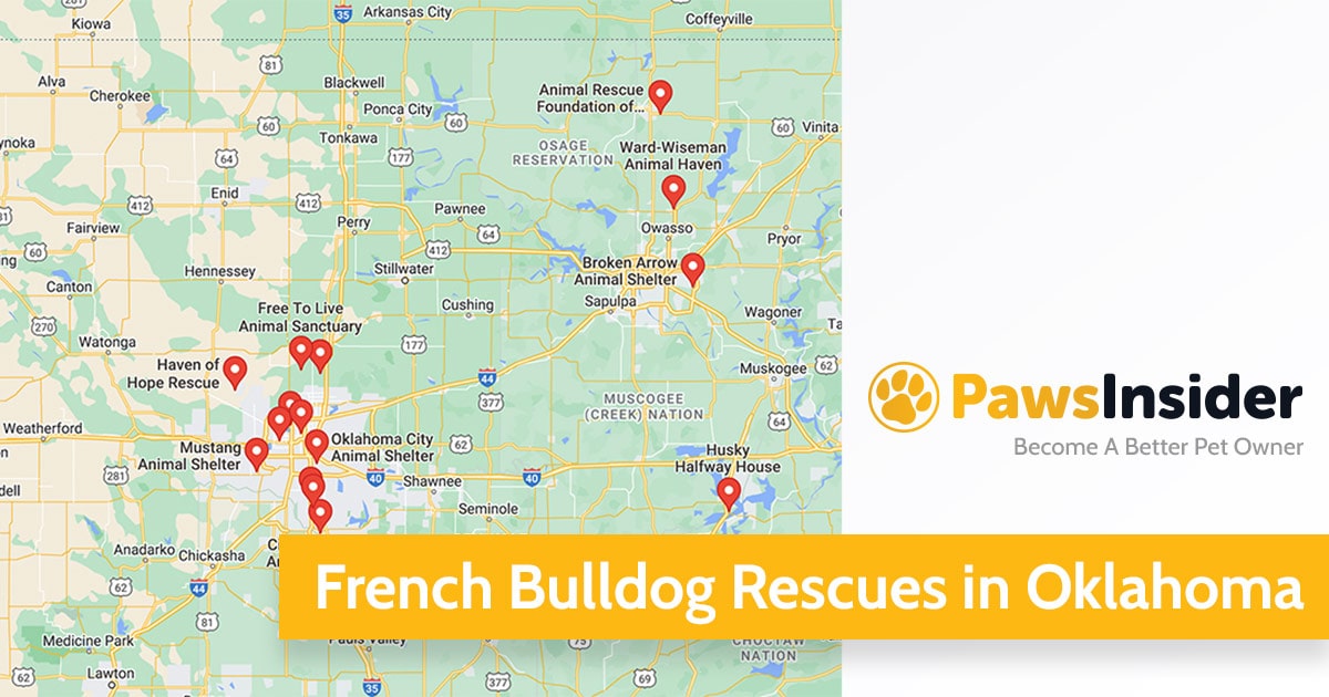 Screenshot of a map with French Bulldog Rescues in Oklahoma in Google Maps