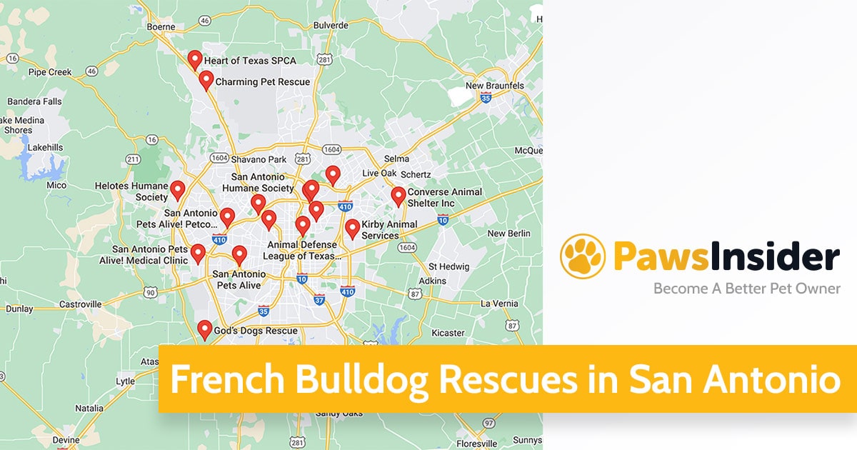 Screenshot of a map with French Bulldog Rescues in San Antonio in Google Maps