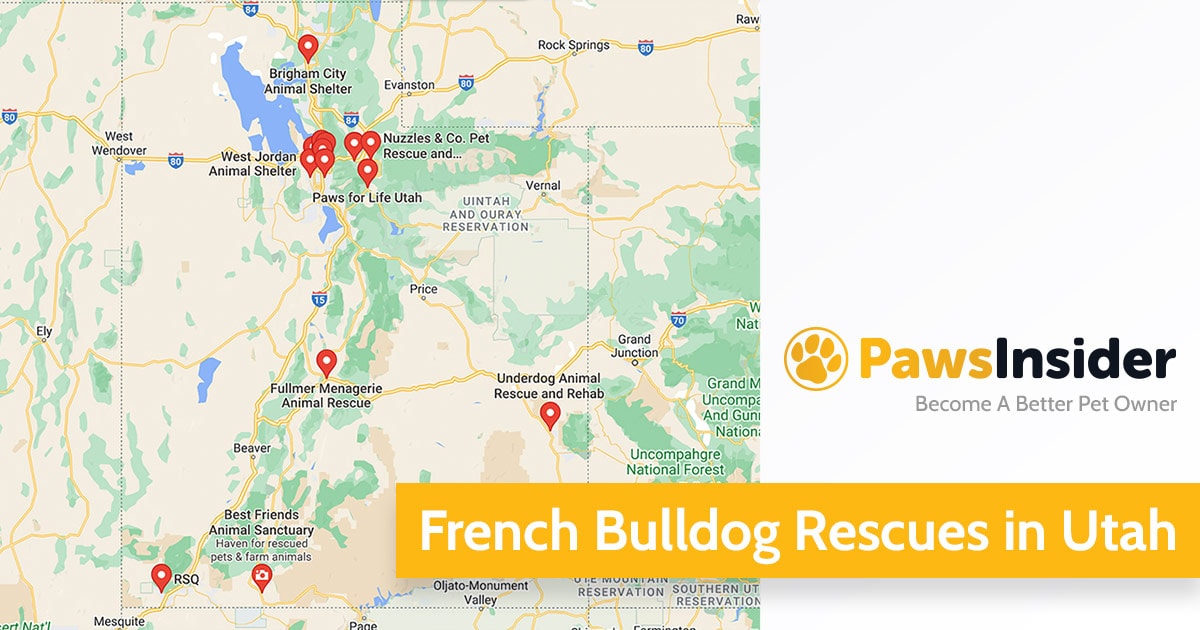 Screenshot of a map with French Bulldog Rescues in Utah in Google Maps
