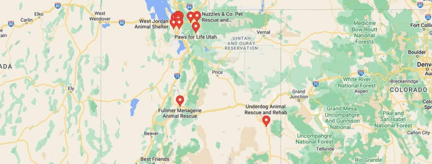 Screenshot of a map with French Bulldog Rescues in Utah in Google Maps